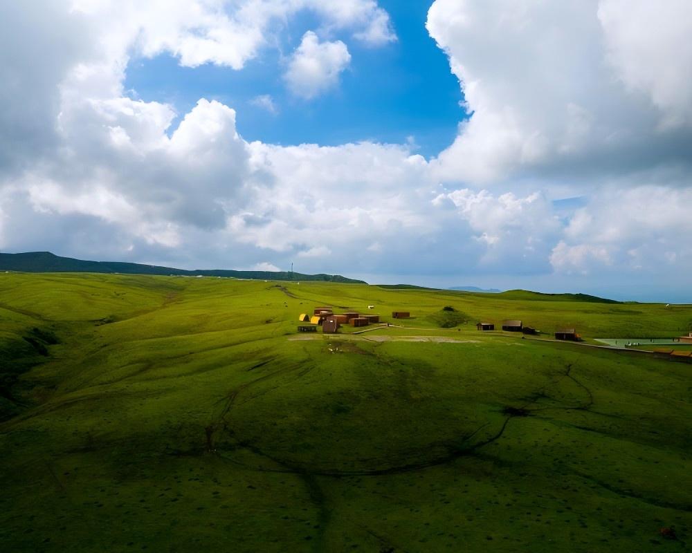 ทุ่งหญ้าอาชิลี