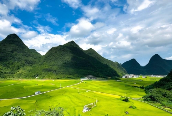 茂兰自然保护区